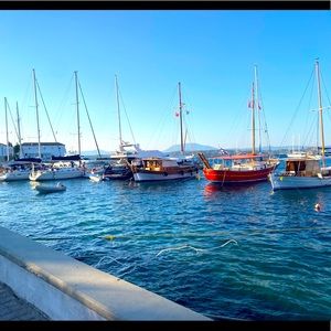 Meet your Posher, Elsa